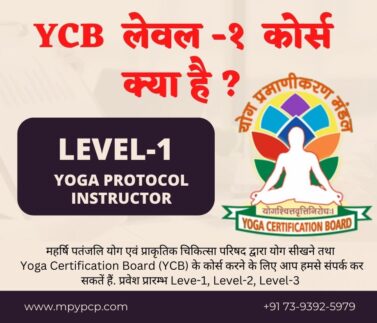 YCB Level- (1)